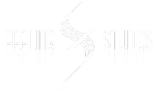 Feeling Studios Logo